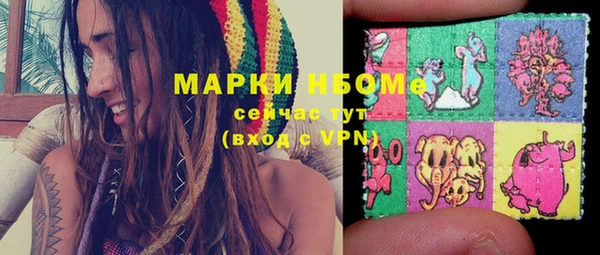 стаф Абинск