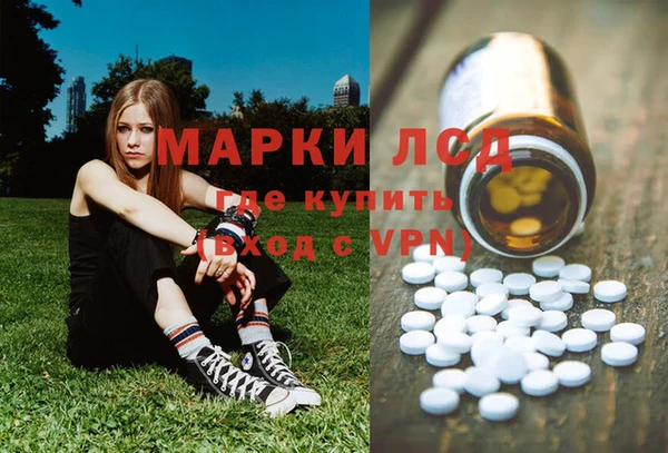 стаф Абинск