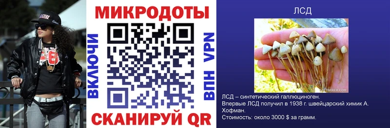 где купить наркоту kraken маркетплейс Псилоцибиновые грибы MAGIC MUSHROOMS Чегем