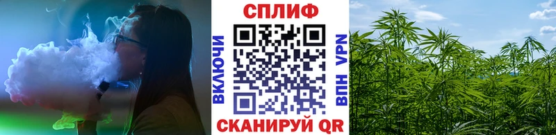 Марихуана конопля магазин наркотиков Чегем