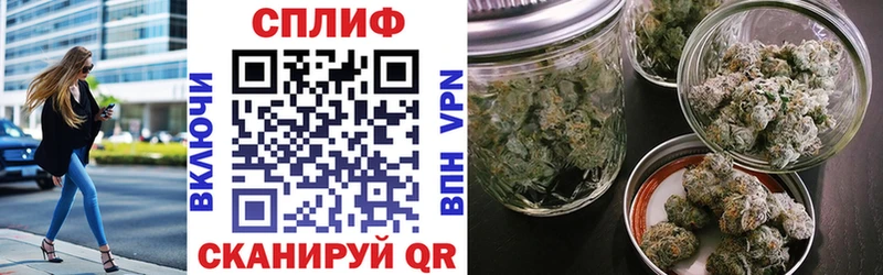 Марихуана сатива Чегем